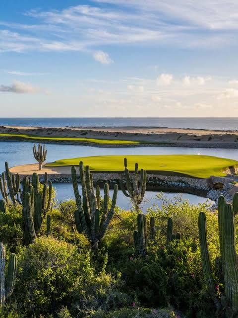 A golf green beside the ocean, framed by cardón cactus