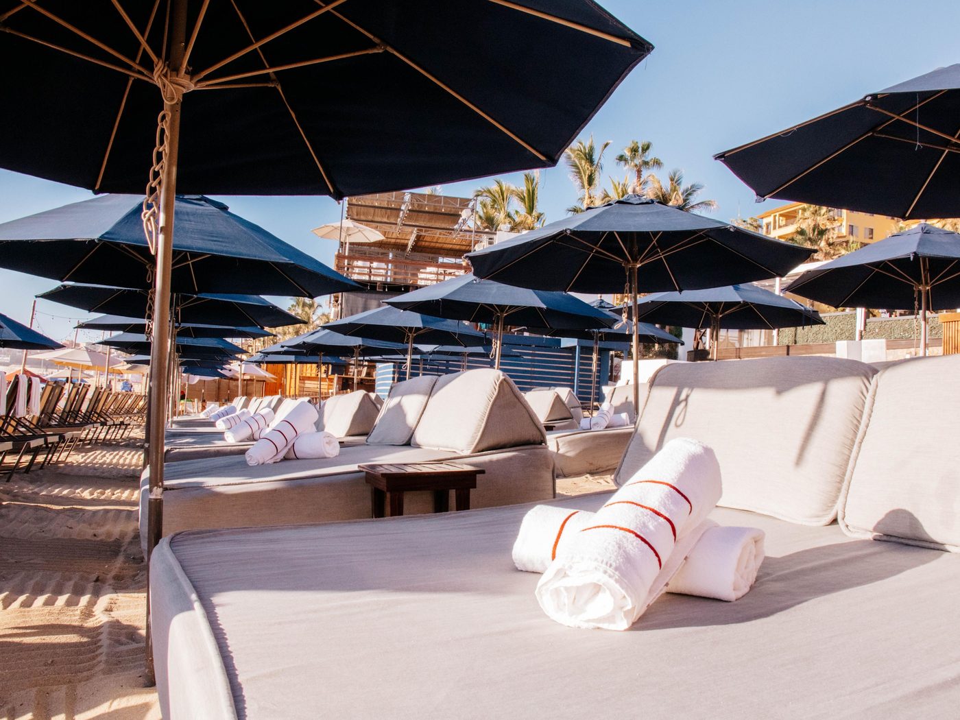 Beach-club loungers under navy umbrellas