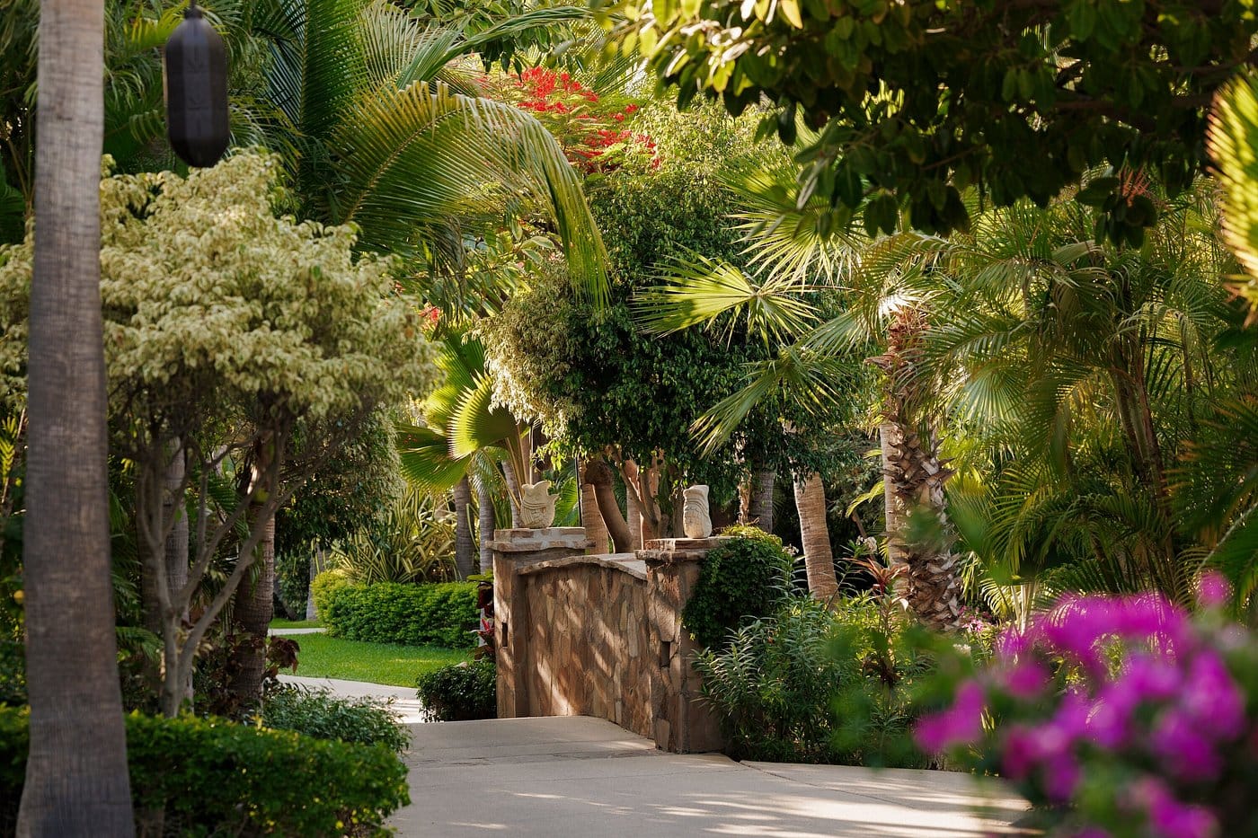 Palmilla amenities